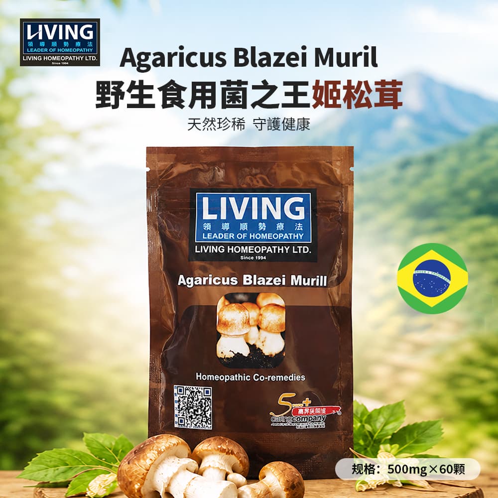 A84LIVING姬 松 茸